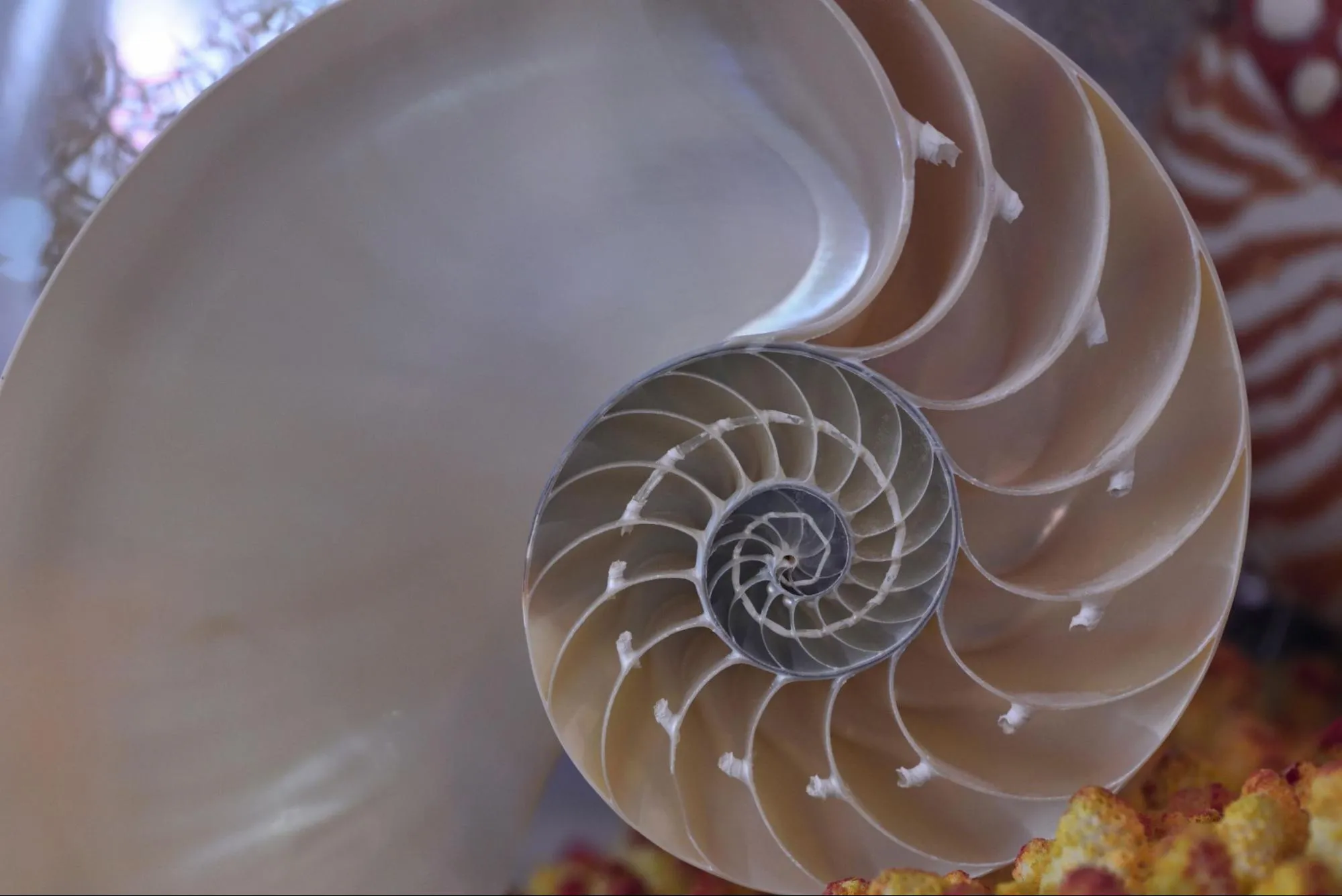 Ce este Fibonacci Retracement și cum funcționează?