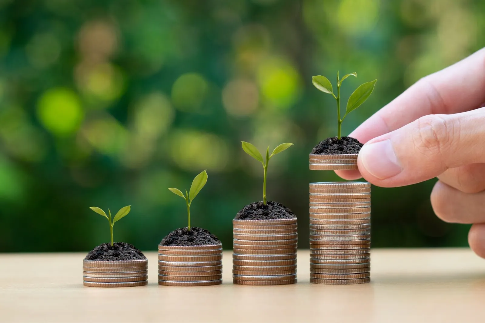 Cel mai bun fond de investitii din Romania in 2025 Cel mai bun fond de investitii din Romania in 2025